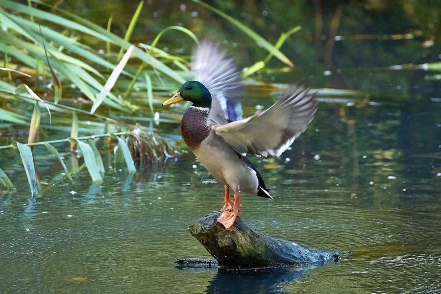 2022-09-24 16.00.00_DSCF3518.jpg