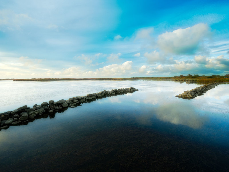 Back Bay_2022-10-30_032.jpg Back Bay_2022-10-30_032.jpg