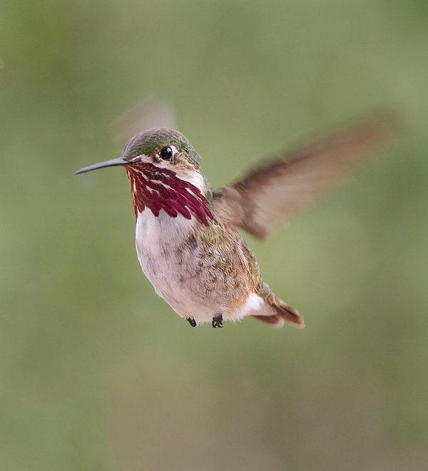 P7305075_DxO copydxorawprocess.jpg