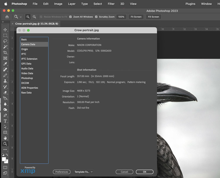 Screenshot 2023-04-07 at 10.32.29 AM.jpg