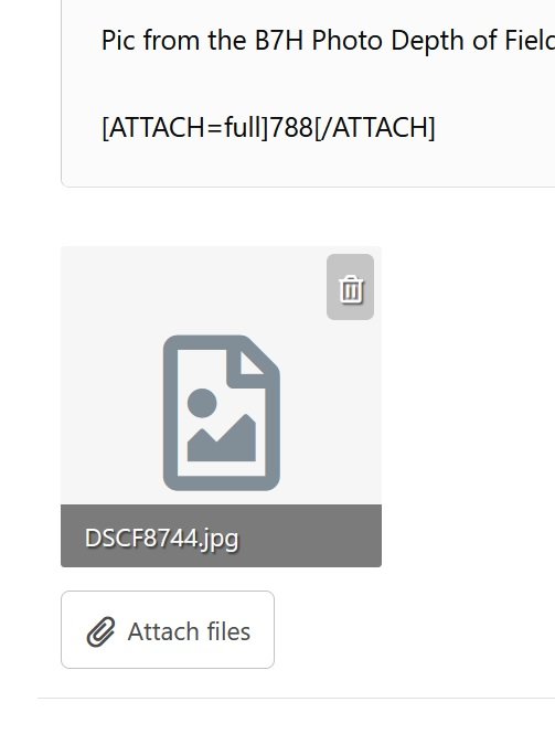 attachment_blank.jpg attachment_blank.jpg