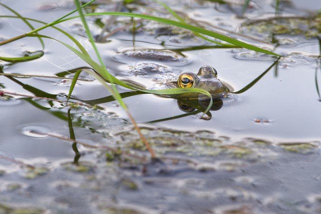 NIK_8327 final_0.jpg