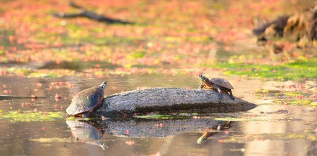 NIK_7796 final_0.jpg