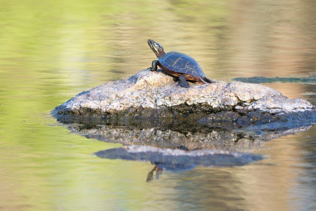 NIK_7742 final_0.jpg