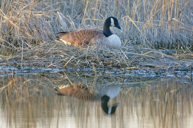 NIK_7902 final_0.jpg