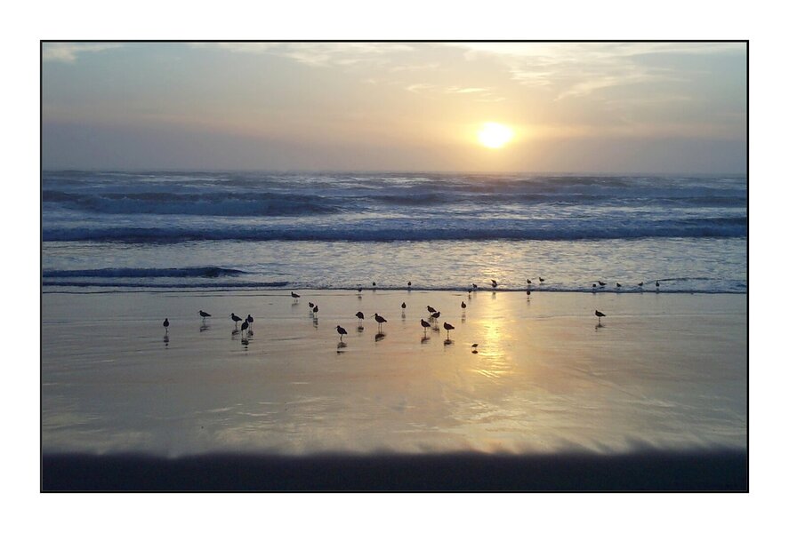 03_0222_DC280_0411b.JPG 03_0222_DC280_0411b.JPG