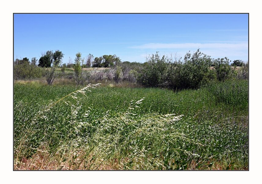 23_0430_NZ5_0043.JPG 23_0430_NZ5_0043.JPG