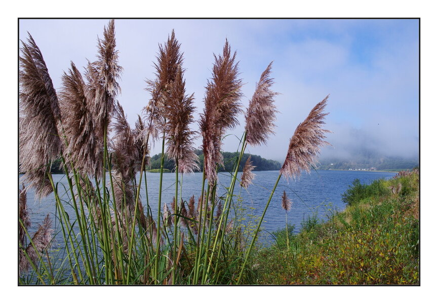 11_0923_K5_0080.JPG 11_0923_K5_0080.JPG