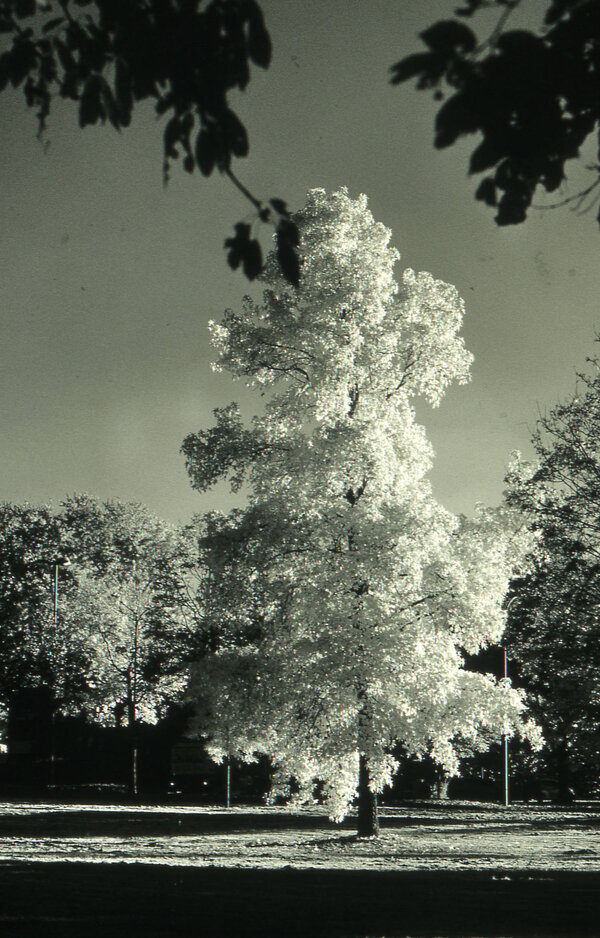 File0002.jpg