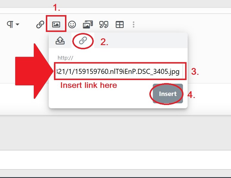 PBase4.jpg PBase4.jpg