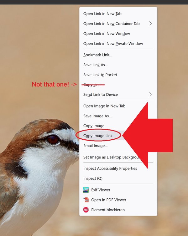PBase2.jpg PBase2.jpg