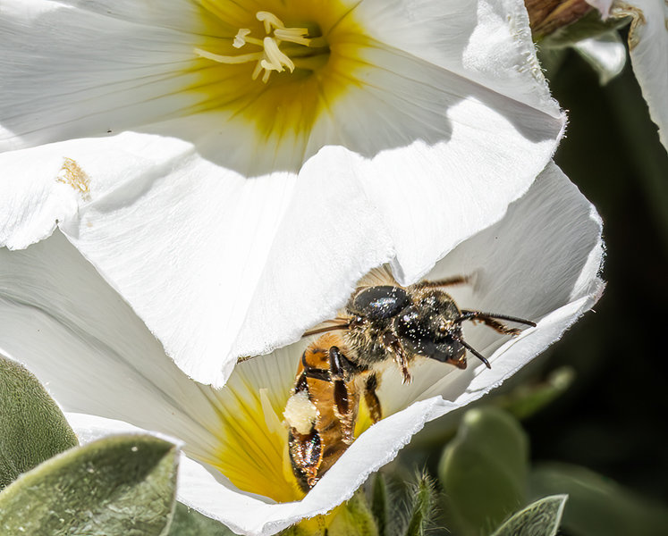 20230421-IMG_0048 Small 87-Enhanced-NR-EditCIC.jpg