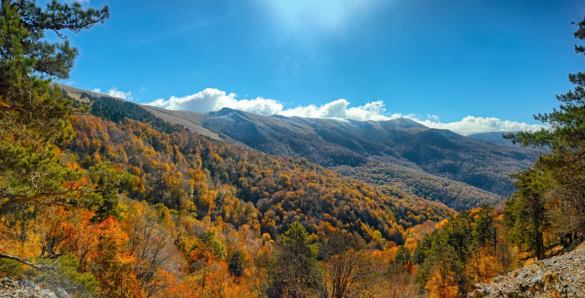 [Group 0]-_P0Q0409__P0Q0415-3 images_0000_2000.jpg