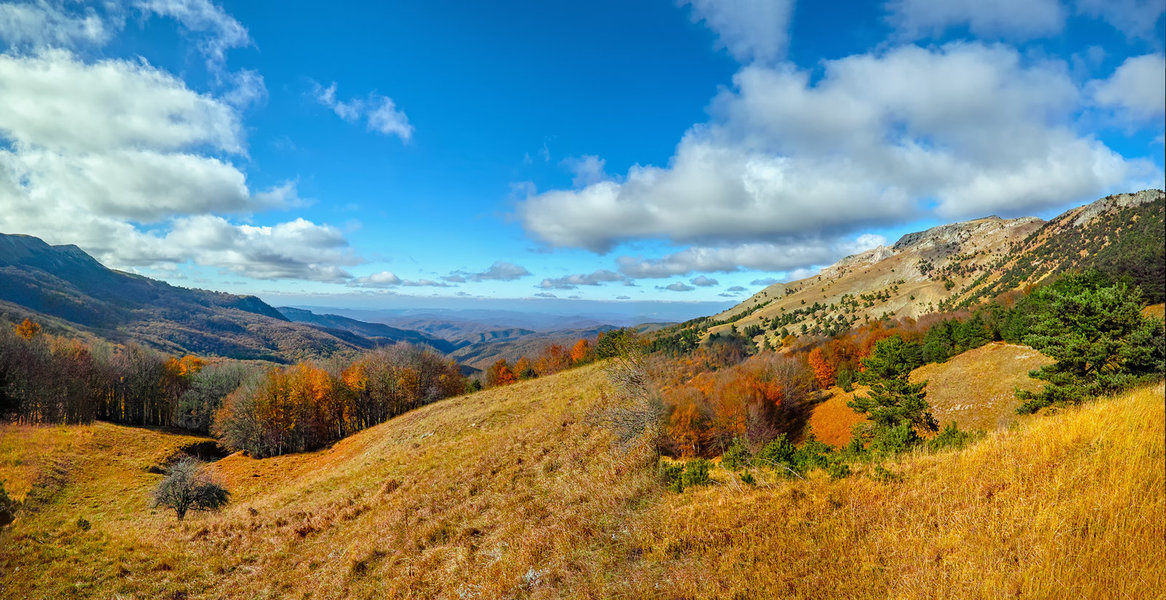 [Group 0]-_P0Q0607_pano__P0Q0625_8-7 images_2000.jpg