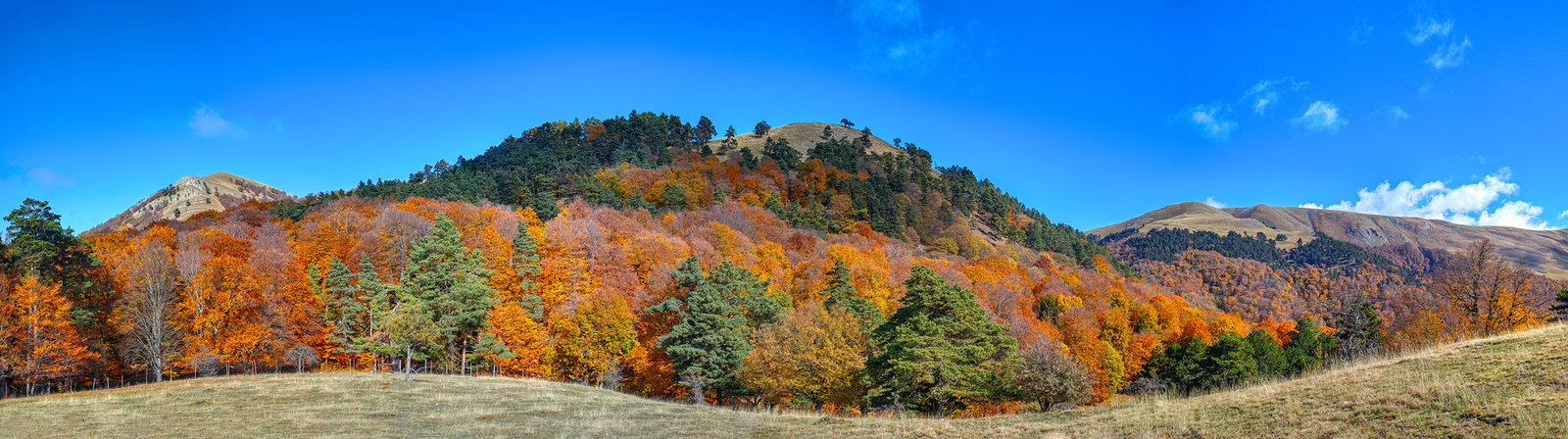 [Group 0]-_P2Q5467__P2Q5527_hdr-images_0000_2000 copy.jpg
