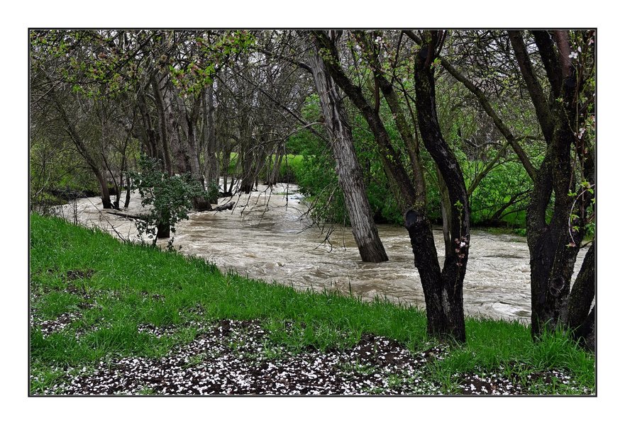 23_0312_ZFC_0477.JPG 23_0312_ZFC_0477.JPG