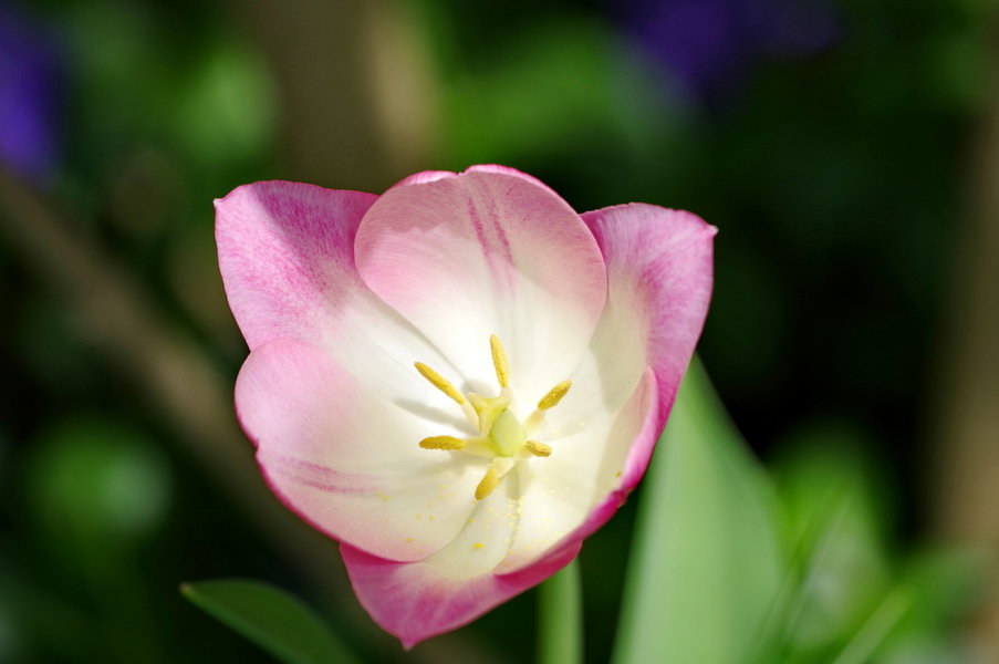 IMGP1022.JPG