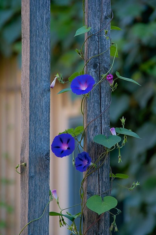 Dresden SIGMA-Treff  2008  49.jpg