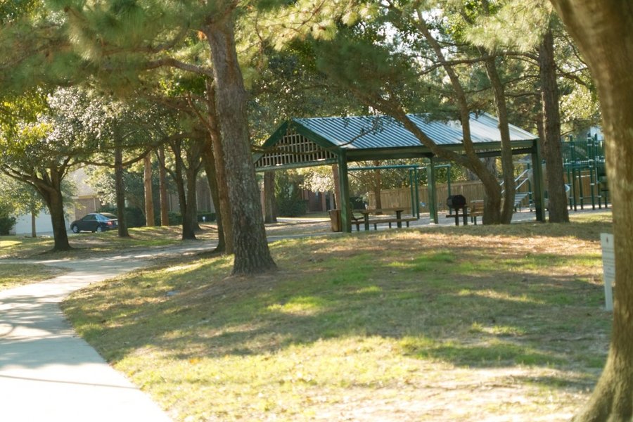 50f2.jpg