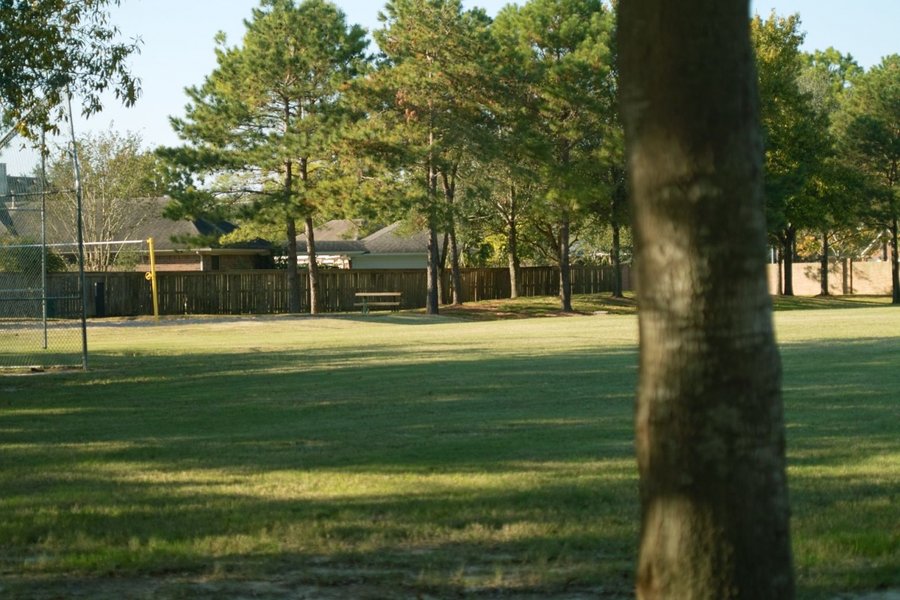 50mm f2-2.jpg