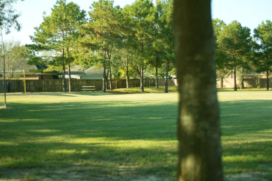 135f35.jpg