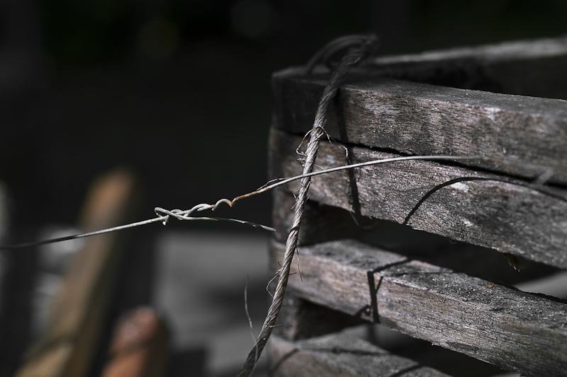SDIM0059.jpg