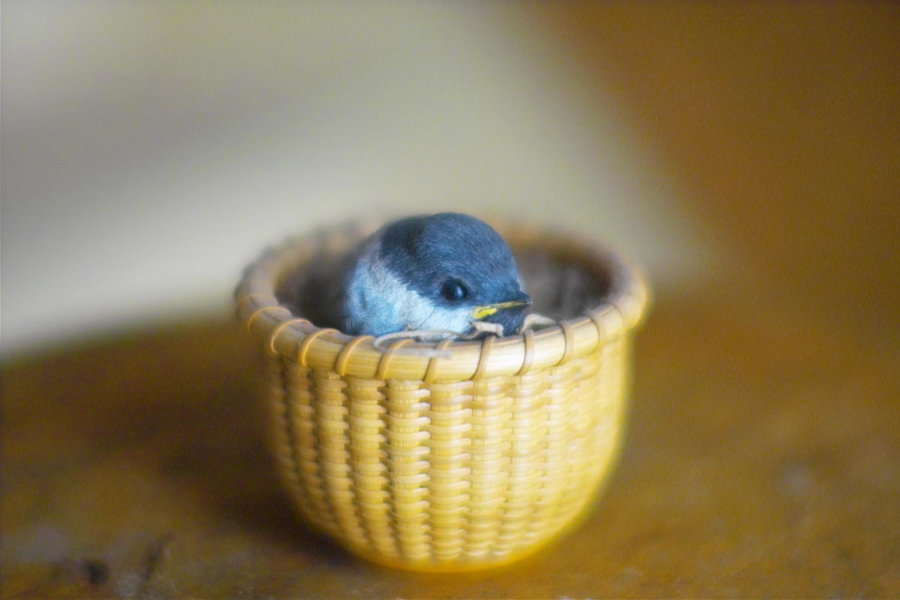 th_Rokkor 58mm 021.jpg