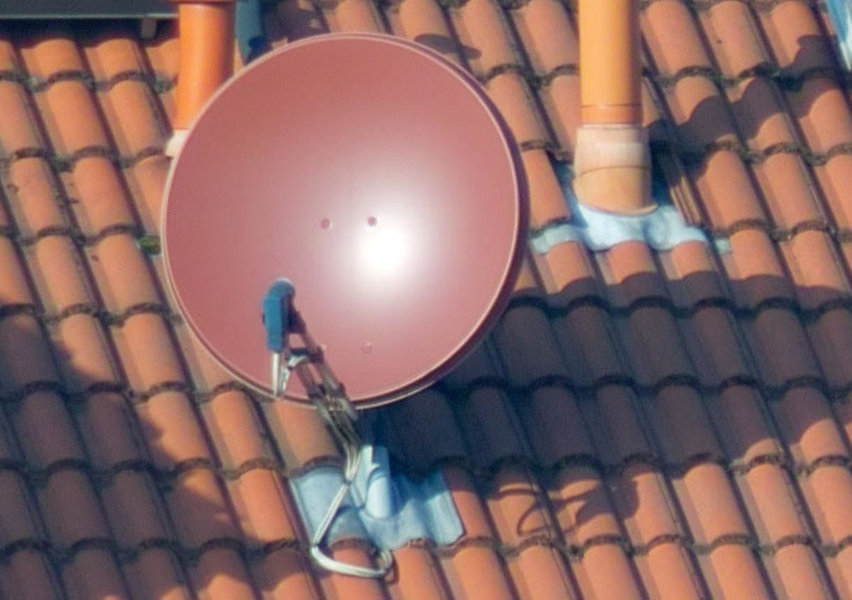 CROP Albinar3,5.jpg