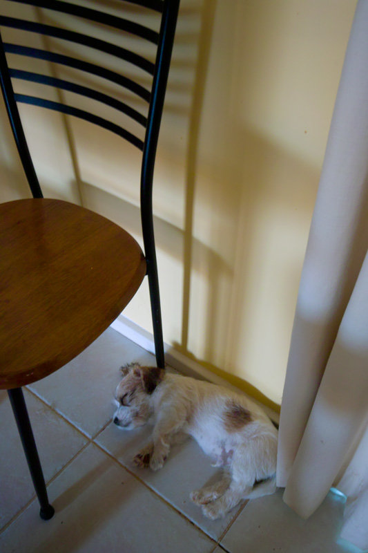 Chair Guard.jpg