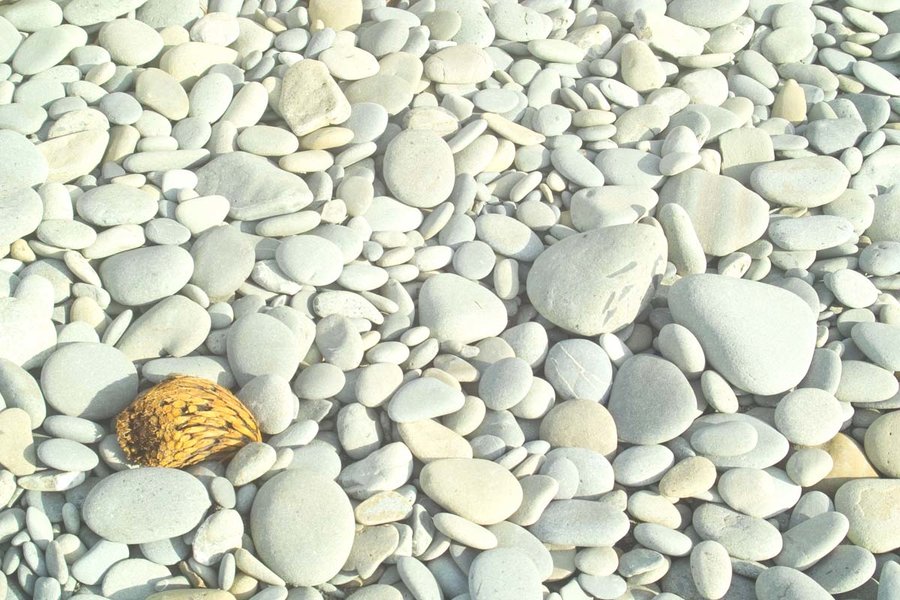 Beach Cobbles RAW Camera Histo.jpg