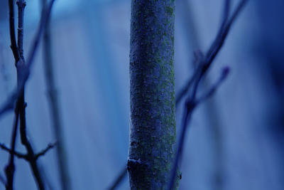 Sample 1.jpg