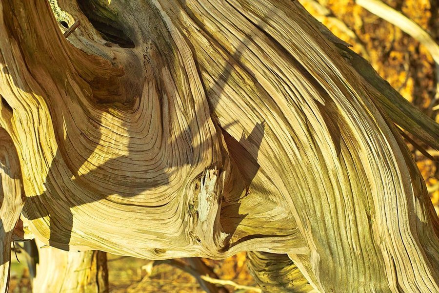 th_SDIM0129.jpg