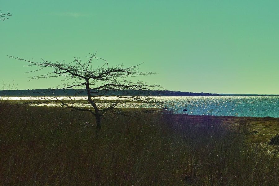 th_SDIM01223.JPG