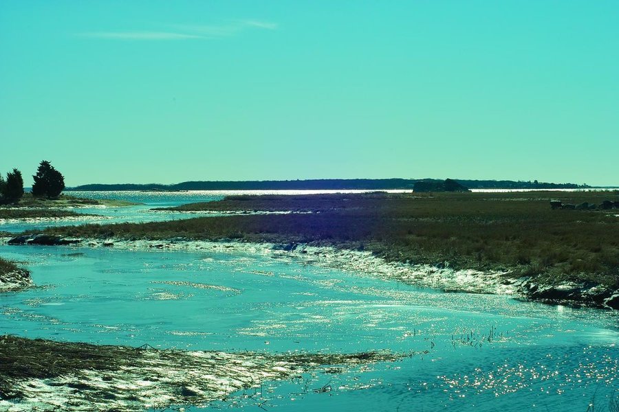 th_SDIM0135.jpg