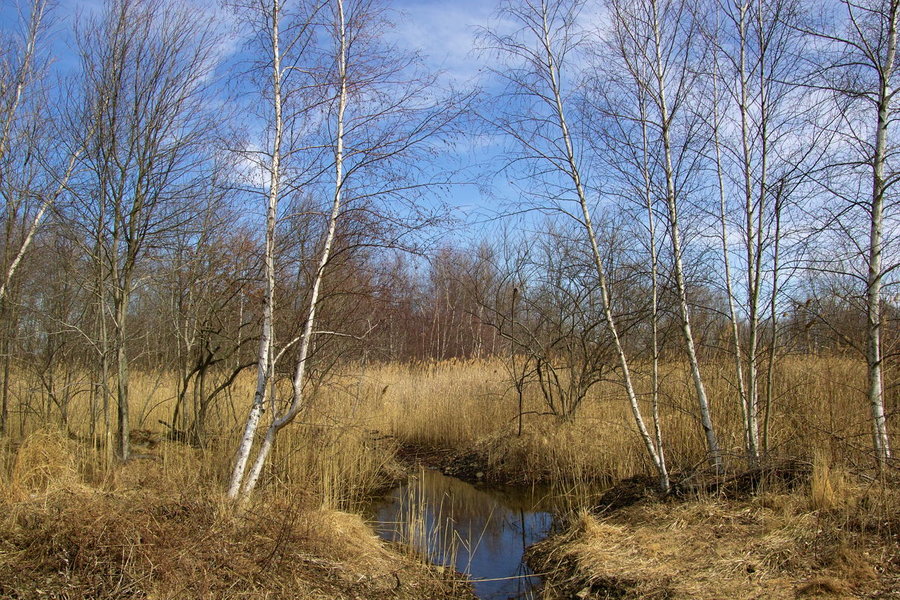 SDIM0521 NX Resize.jpg