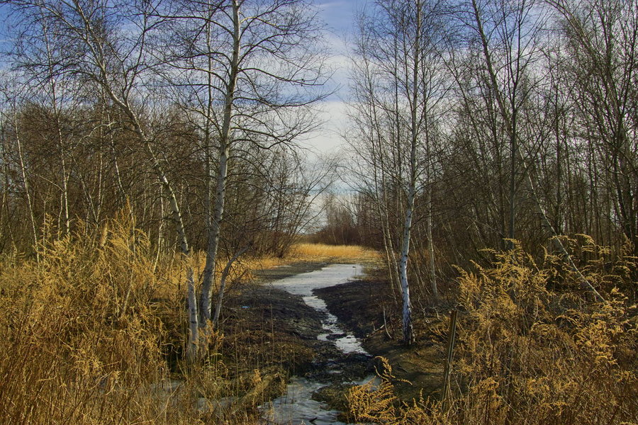 SDIM0439 test Resize.jpg