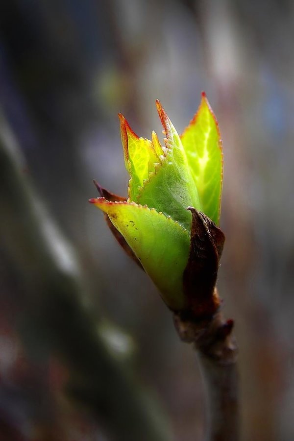 Sample 1.jpg