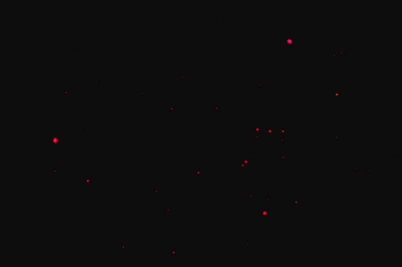 SDIM1391s.jpg