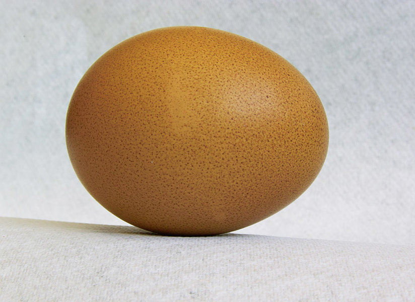 egg-j.jpg