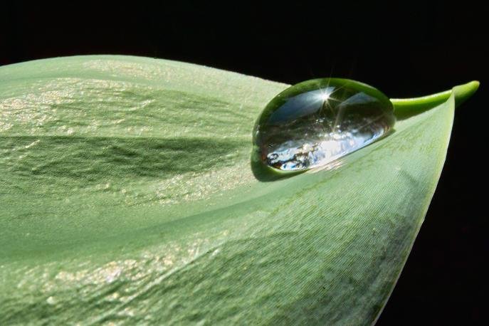 water beads color 3.JPG