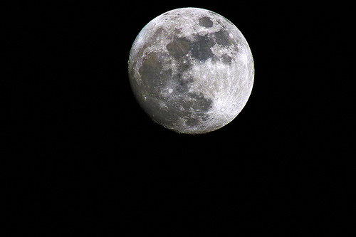 1280mm -1.jpg