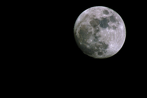 1280mm - 3.jpg