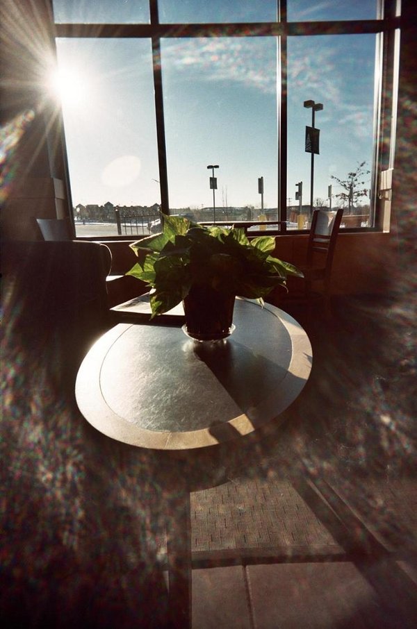 vivitar lens flare.JPG