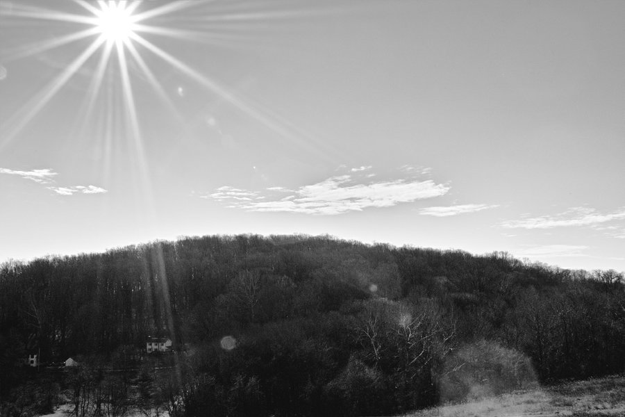 SDIM0440_BW_4.jpg