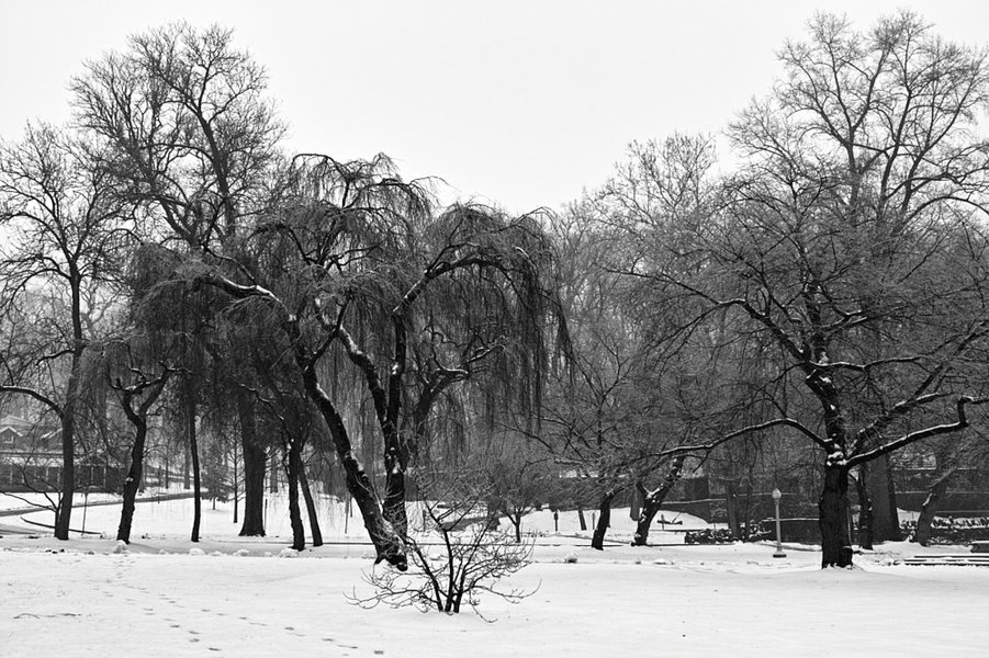 SDIM2299_auto_BW.jpg