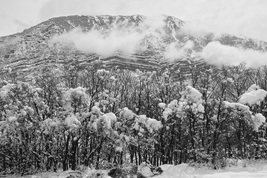 SDIM0739-bw-s.jpg