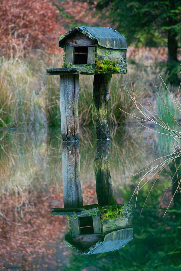 -Das doppelte Vogelhaus-.jpg