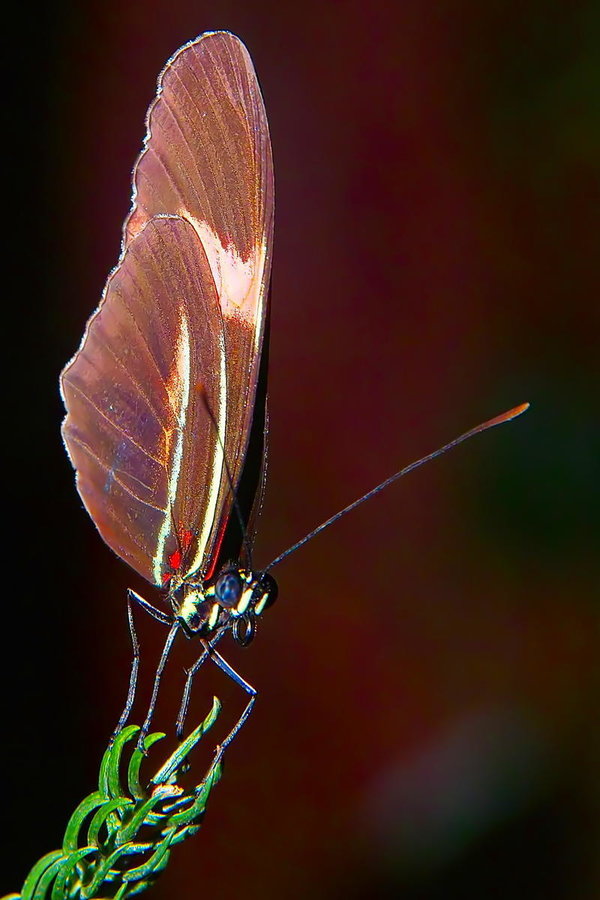 Sample 22.jpg