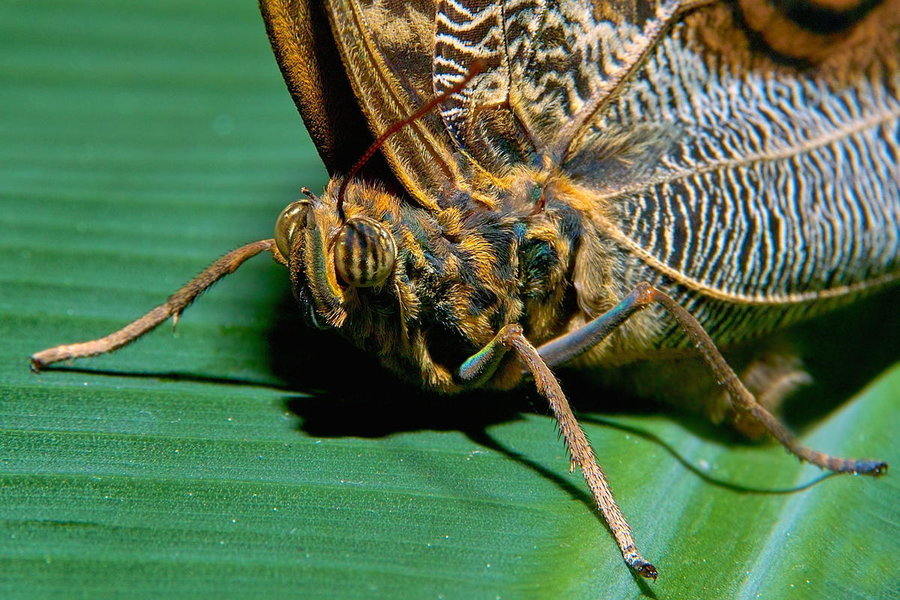 Sample 37.jpg