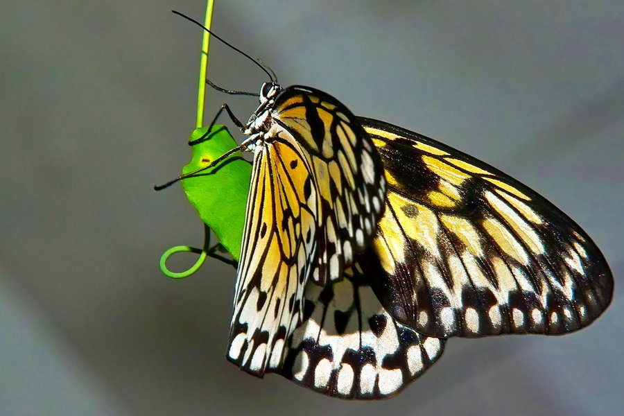 Sample 38.jpg